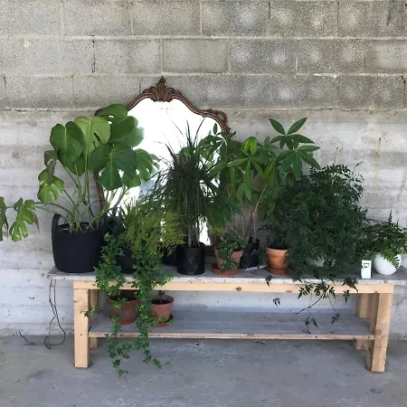 Sotto La Vigna Charm Adults Only Vacation Bed & Breakfast 4*