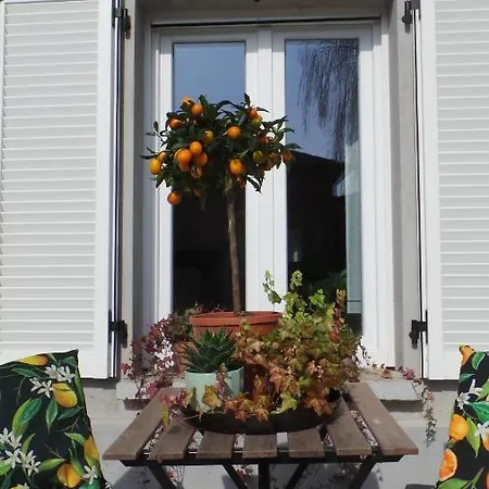 Sotto La Vigna Charm Adults Only Vacation Bed & Breakfast *