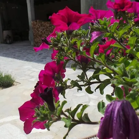 Sotto La Vigna Charm Adults Only Vacation