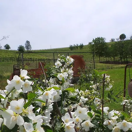 Bed & Breakfast Sotto La Vigna Charm Adults Only Vacation Montegrosso dʼAsti