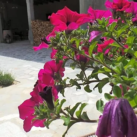 Sotto La Vigna Charm Adults Only Vacation 4*