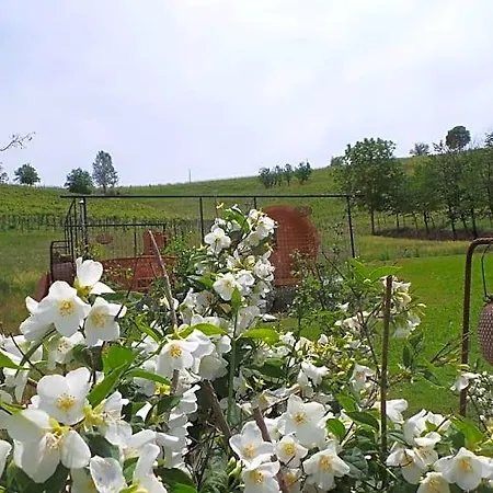 Bed & Breakfast Sotto La Vigna Charm Adults Only Vacation 4*